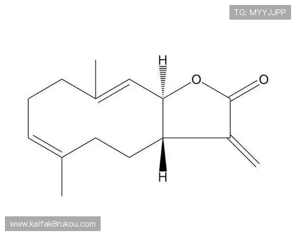 掌握K8凯发游戏网址的最新动态，第一时间获取官方入口信息与安全保障措施