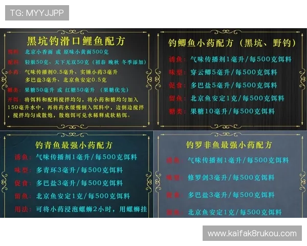 K8捕鱼技巧秘籍助你成为捕鱼高手实现高分和高收益的实用指南
